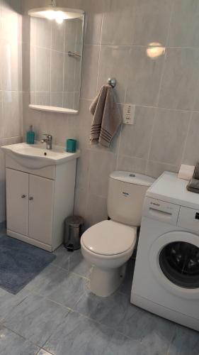 bagno con servizi igienici, lavandino e lavatrice di Lighthouse Beach apartment a Paphos
