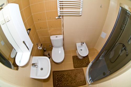 a bathroom with a toilet and a sink and a shower at Брусний View House in Sheshory