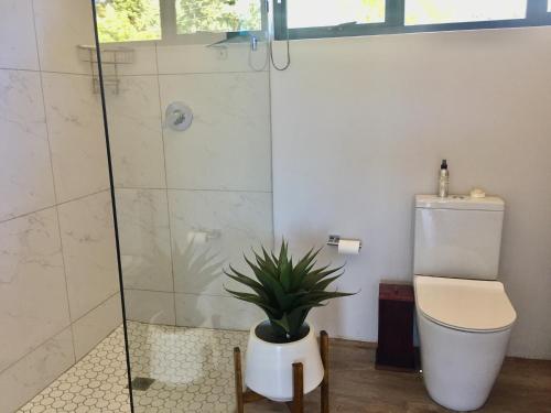 La salle de bains est pourvue d'une douche, de toilettes et d'une plante. dans l'établissement C’est La Vie, à Balgowan