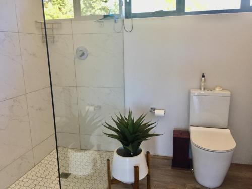 a bathroom with a shower and a toilet and a plant at C’est La Vie in Balgowan