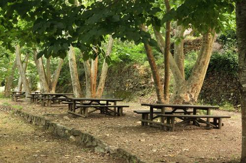 Billede fra billedgalleriet på Casa da Eira i Lousã