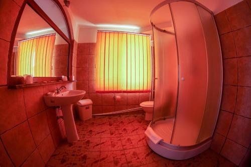 bagno con lavandino, doccia e servizi igienici di Lake View a Sarichioi