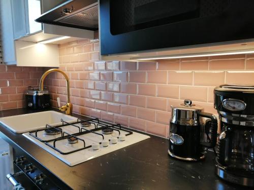 a kitchen counter top with a stove top oven at Villa Étienne in Le Mont-Dore