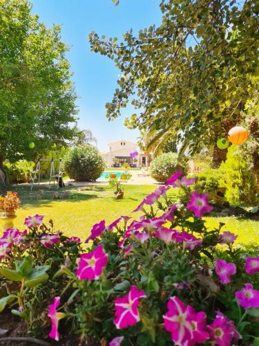 a garden with pink flowers in a yard at Villa Vravrona Tower & Suites in Markopoulo