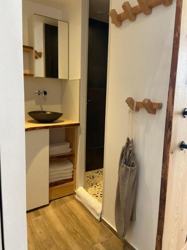 ein Badezimmer mit einem Waschbecken, einem Spiegel und einer Tür in der Unterkunft Lily l'Acrobate Aubagne-Cassis-Aix en Provence in Aubagne