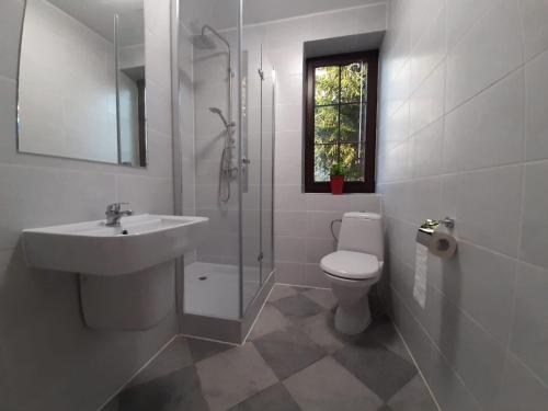 a bathroom with a sink and a toilet and a shower at Warszawska in Legionowo