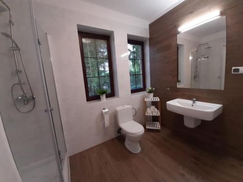 ein Badezimmer mit einem WC, einem Waschbecken und einem Spiegel in der Unterkunft Warszawska in Legionowo