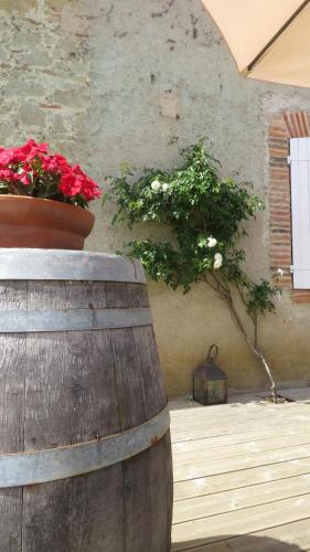a potted plant sitting on top of a wooden barrel at Le Mas De Marie in Lavaur