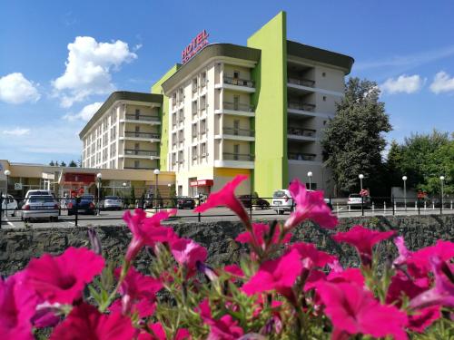 un grupo de flores rosas frente a un edificio en Complex Balnear Covasna, en Covasna