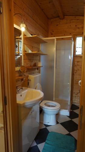 a bathroom with a toilet and a shower and a sink at VAKANTIEHUIS CASASdeCASPER - Camping Italië in Porlezza