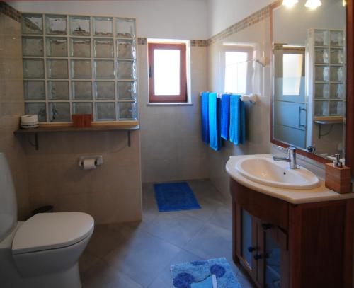 a bathroom with a sink and a toilet and a mirror at Casa da fonte in Salir de Porto