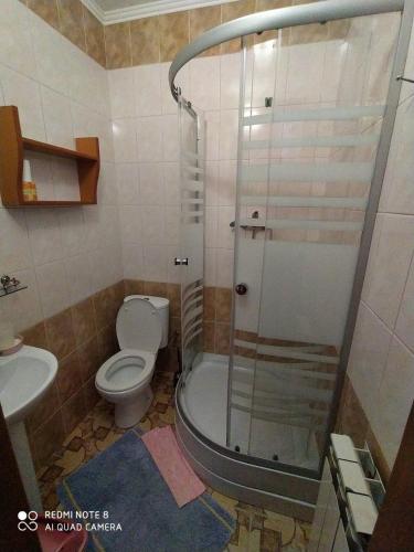 a bathroom with a shower and a toilet at Sadyba Margaryta in Truskavets