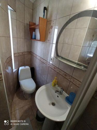 a bathroom with a sink and a toilet and a mirror at Sadyba Margaryta in Truskavets
