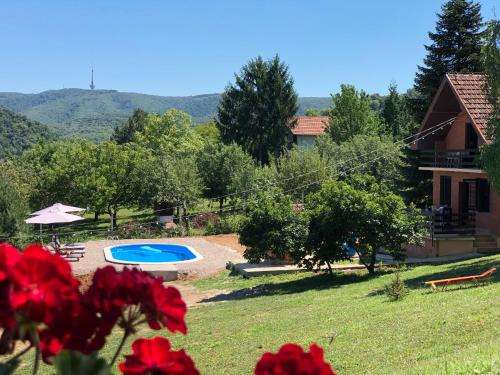 a view of the house and the swimming pool at Fruska Pool House in Sremska Kamenica