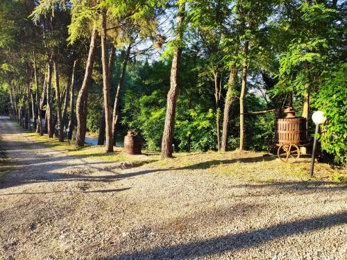 a park with a bench and a cart on the side of a road at Antico Podere Il Bugnolo in Poggibonsi