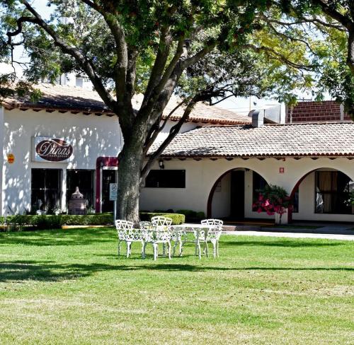Κήπος έξω από το Hotel Sand´s San Luis