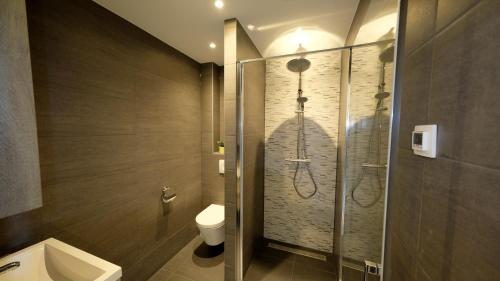 een badkamer met een douche en een toilet. bij Sunny 45m2 Penthouse with Balcony and Terrace in Eindhoven