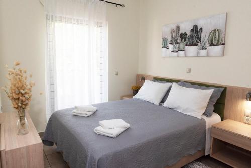 Plumi City Apartments
