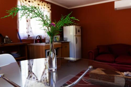 a vase with flowers sitting on a glass table at Lodge del Maipo in San José de Maipo