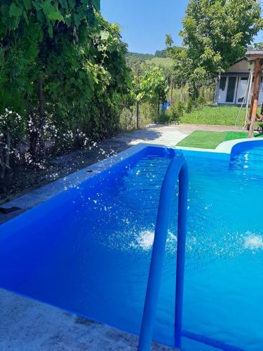 a large blue swimming pool in a yard at CAZARE LA ESPAÑOLA in Haţeg