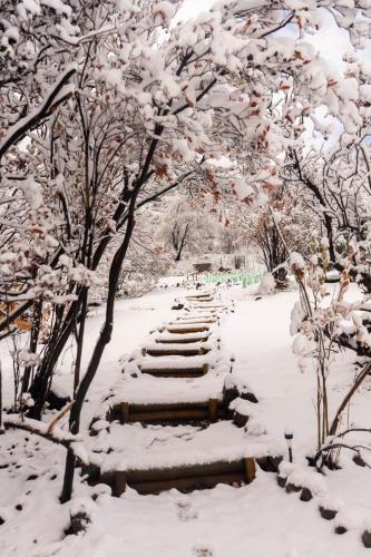 a snow covered path in a park with snow covered trees at Origen del Maipo Lodge in San José de Maipo