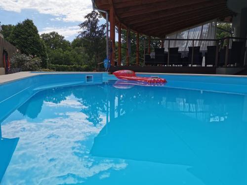 una piscina con frisbee rosso in acqua di House4U a Balatonszemes