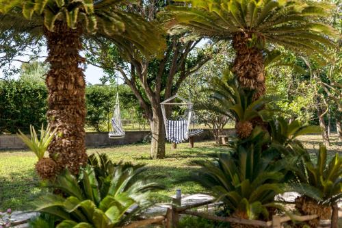 a yard with palm trees and a swinging hammock at Villa Caterina b&b in Procida
