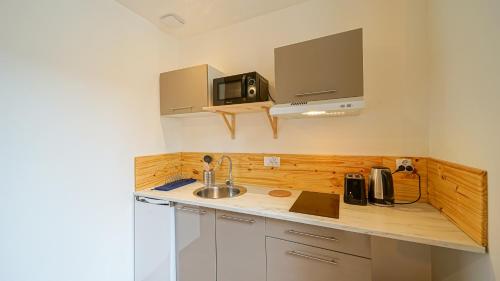 Η κουζίνα ή μικρή κουζίνα στο Cosy Apparts Brive
