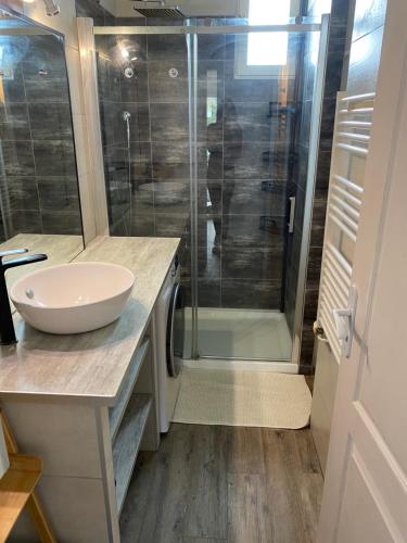 La salle de bains est pourvue d'un lavabo et d'une douche. dans l'établissement Appartement à royan, à Royan