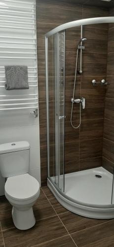 a bathroom with a toilet and a glass shower at Dworek pod świerkami in Jelenia Góra