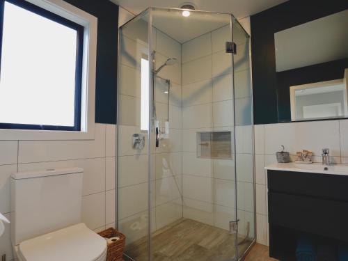 a bathroom with a shower and a toilet and a sink at The Tui Studio - Te Anau Holiday Studio in Te Anau