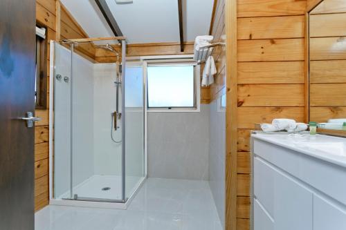 bagno con doccia e porta in vetro di Poenamo Hotel ad Auckland