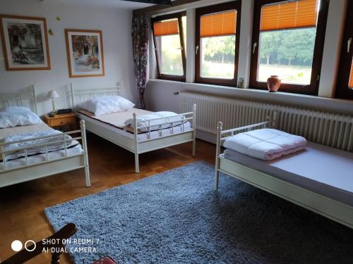 two beds in a room with windows and a rug at Ferienwohnung in Bohndorf