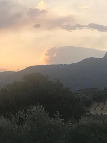a sunset in the mountains with trees in the foreground at Casa Rural Cortijo La Ajedrea in Siles