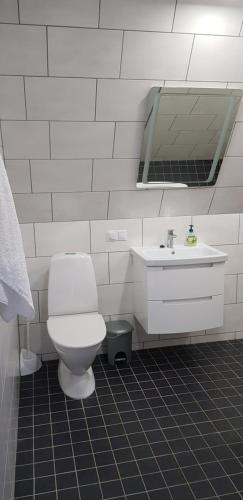 a bathroom with a white toilet and a sink at Tuhamäe hosteli puhkemaja in Kiviõli