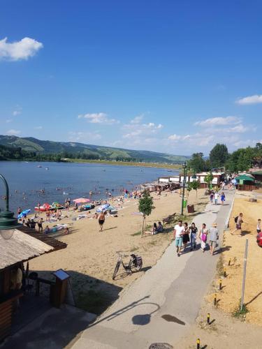 a group of people on a beach near a body of water at Apartman Nikolic in Veliko Gradište