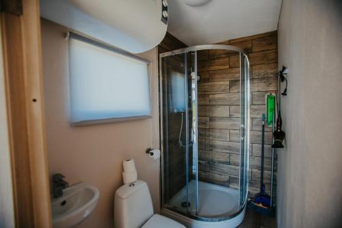 uma casa de banho com um chuveiro, um WC e um lavatório. em Laukbalozu camping em Jūrkalne