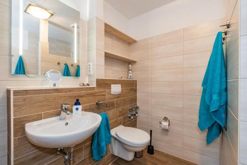 a bathroom with a sink and a toilet at Ferienwohnungen Störtebeker in Zempin