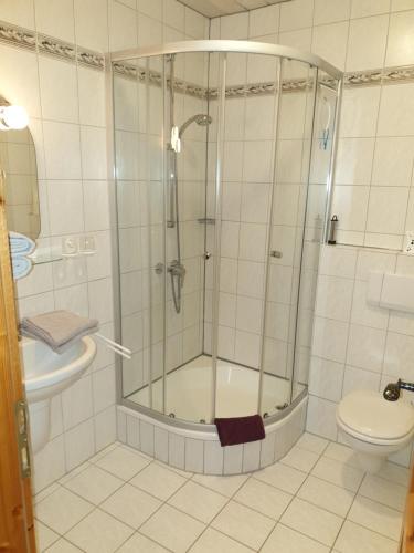 a bathroom with a shower and a toilet at Ferienhof Murr in Thurmansbang