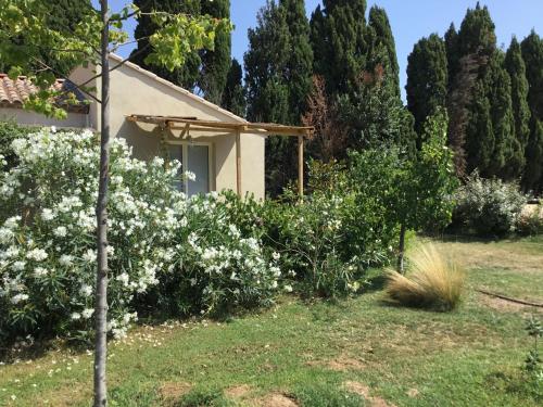 a house with white flowers in the yard at Le jardin du Castillon in Paradou