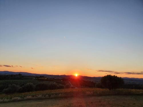 a sunset over a field with the sun setting in the background at La Collina in Deruta