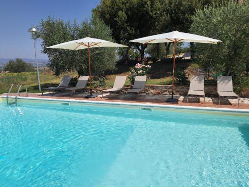a swimming pool with chairs and umbrellas next to it at La Collina in Deruta