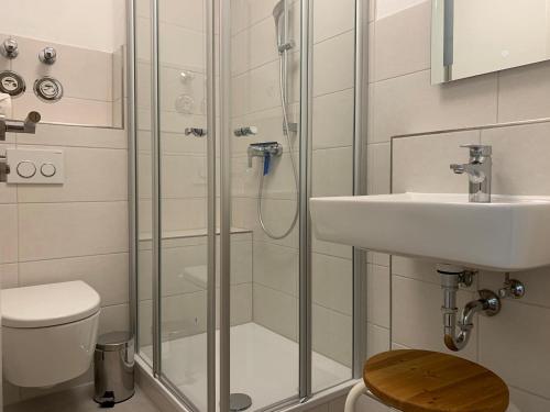 a bathroom with a shower and a sink and a toilet at Haus am Deich Wohnung 2 in Dahme