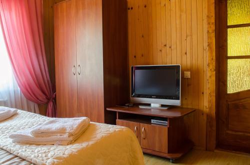 a bedroom with a bed and a television on a wooden cabinet at Svitlana in Tatariv