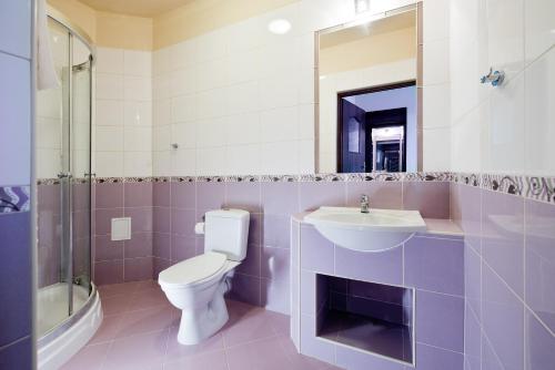 a bathroom with a toilet and a sink at Willa Czarownica in Nowa Słupia