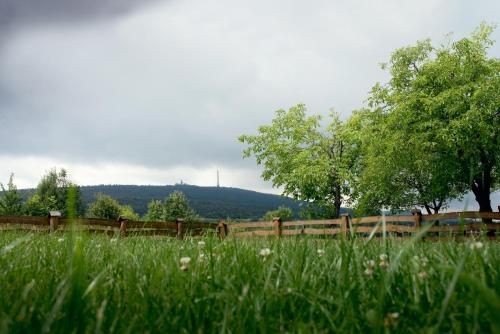 a field of grass with a fence and trees at Willa Czarownica in Nowa Słupia