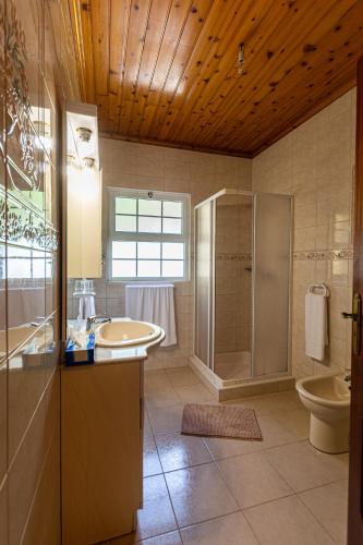 a bathroom with a sink and a shower and a toilet at Casa do Pescador SBMP-2 in Faial da Terra