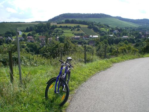 uma bicicleta azul estacionada na berma de uma estrada em Pension Rose em Bretzfeld