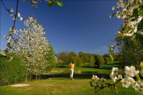 a man standing in the grass near a lake at Pension Rose in Bretzfeld