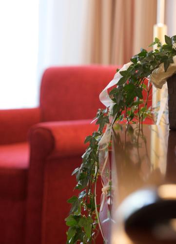 a green plant on a table with a red couch at Pension Rose in Bretzfeld